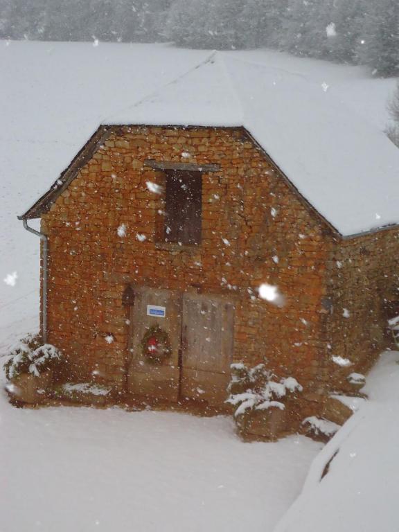 Maison D'Hotes La Maison De Leopold Terrasson Kültér fotó